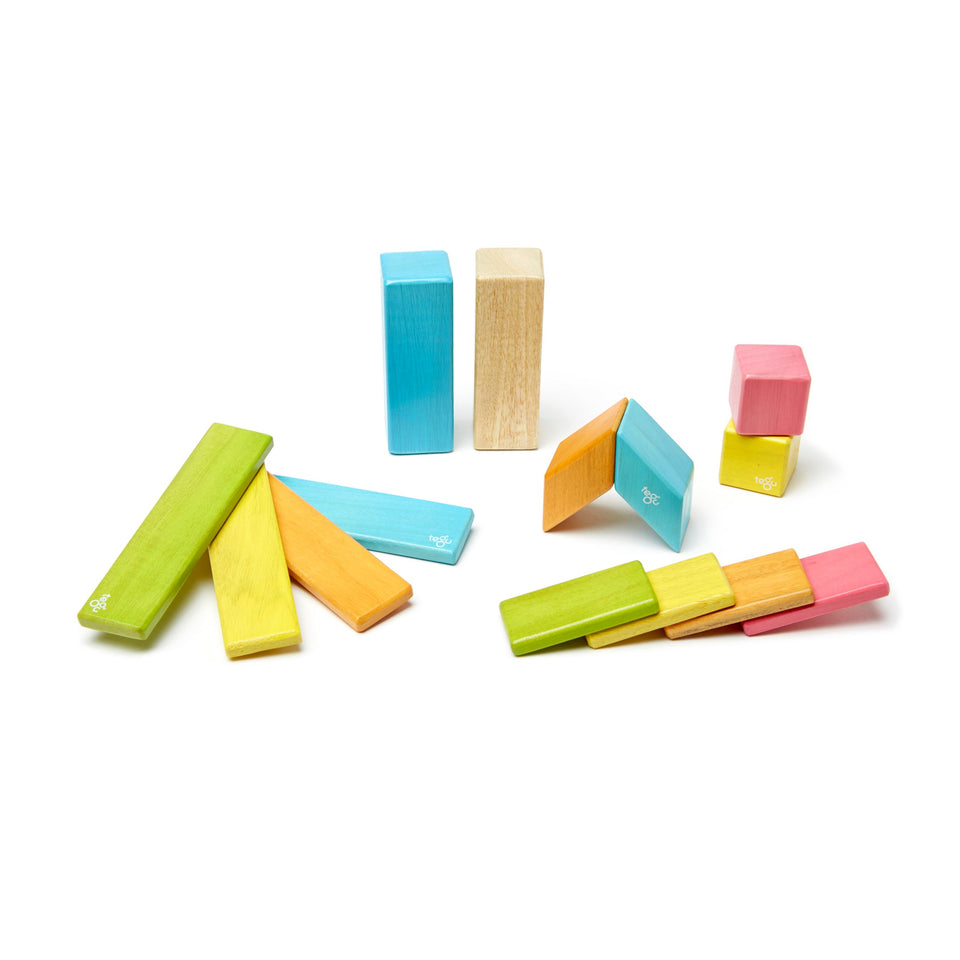 Tegu Magnetic Wooden Blocks. 14-Piece Set. Tints