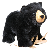 Douglas Morley Black Bear 8